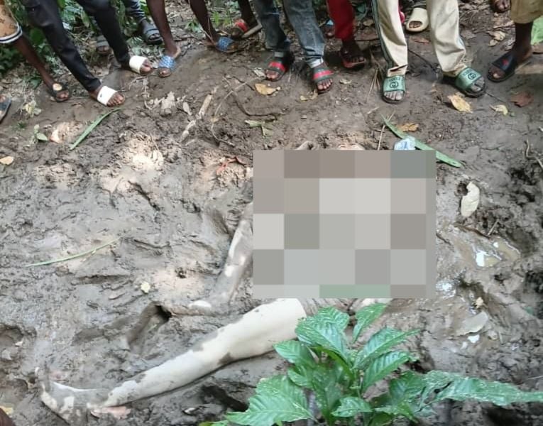 Bono Regional Police commence investigation into suspected murder of alleged illegal miner